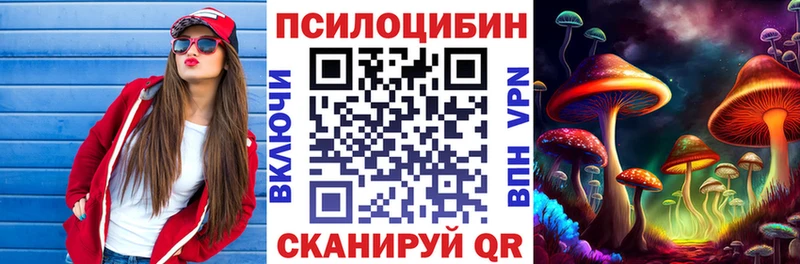 omg маркетплейс  купить закладку  Таштагол  Псилоцибиновые грибы Psilocybe 
